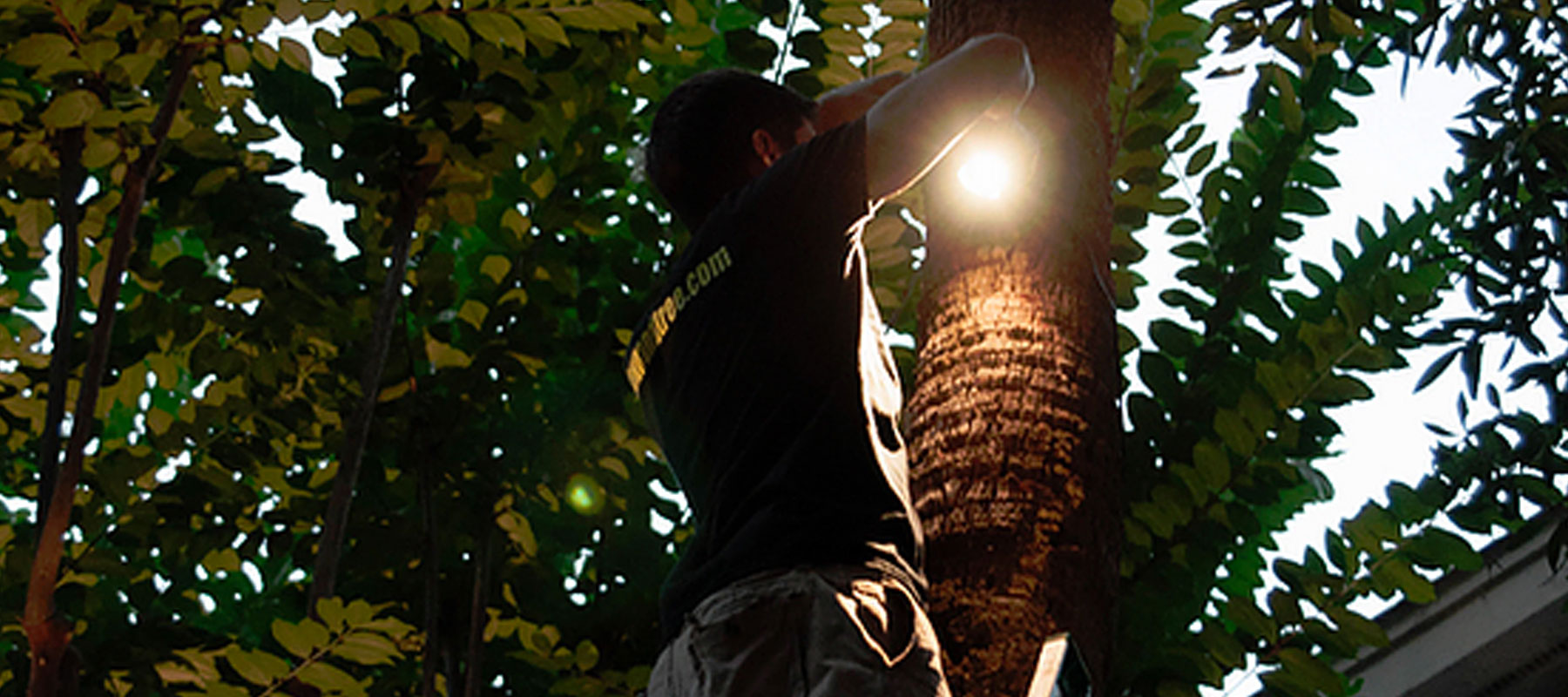 Outdoor Lighting Maintenance | US Electrical